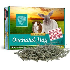 small pet select orchard grass hay pet food for rabbits, guinea pigs, chinchillas and other small animals, premium natural hay grown in the us, 10 lb