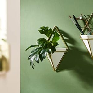 Umbra Trigg Hanging Planter Vase & Geometric Wall Decor Container - Great For Succulent Plants, Air Plant, Mini Cactus, Faux Plants and More, White Ceramic/Brass (Set of 2), Small