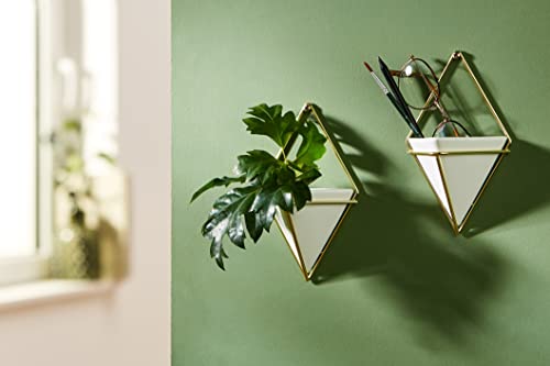 Umbra Trigg Hanging Planter Vase & Geometric Wall Decor Container - Great For Succulent Plants, Air Plant, Mini Cactus, Faux Plants and More, White Ceramic/Brass (Set of 2), Small