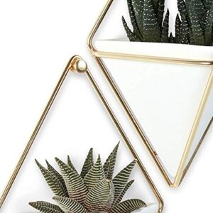 Umbra Trigg Hanging Planter Vase & Geometric Wall Decor Container - Great For Succulent Plants, Air Plant, Mini Cactus, Faux Plants and More, White Ceramic/Brass (Set of 2), Small