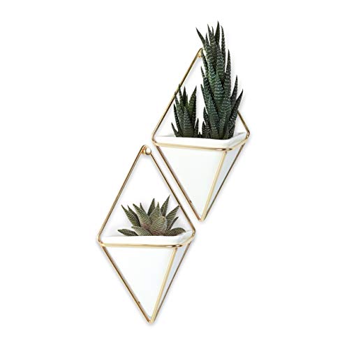 Umbra Trigg Hanging Planter Vase & Geometric Wall Decor Container - Great For Succulent Plants, Air Plant, Mini Cactus, Faux Plants and More, White Ceramic/Brass (Set of 2), Small