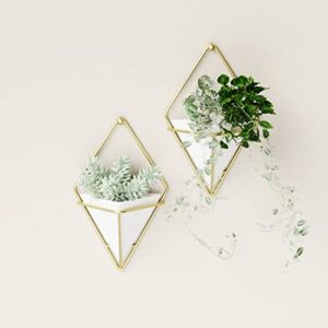 Umbra Trigg Hanging Planter Vase & Geometric Wall Decor Container - Great For Succulent Plants, Air Plant, Mini Cactus, Faux Plants and More, White Ceramic/Brass (Set of 2), Small