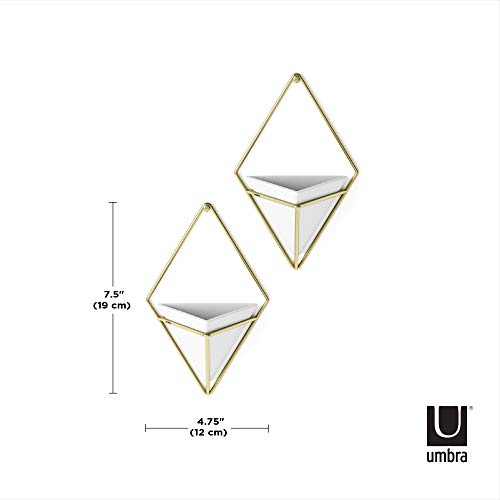 Umbra Trigg Hanging Planter Vase & Geometric Wall Decor Container - Great For Succulent Plants, Air Plant, Mini Cactus, Faux Plants and More, White Ceramic/Brass (Set of 2), Small