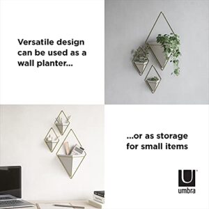 Umbra Trigg Hanging Planter Vase & Geometric Wall Decor Container - Great For Succulent Plants, Air Plant, Mini Cactus, Faux Plants and More, White Ceramic/Brass (Set of 2), Small