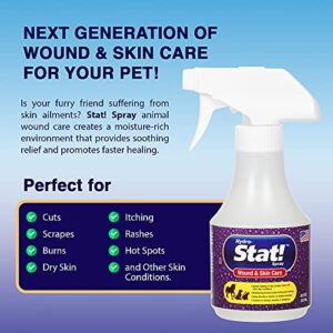 Stat! Spray Pet Wound & Skin Care | First-Aid Treatment for Dogs, Cats, Horses | Natural Plant Based Ingredients | Speeds Healing of Cuts, Burns, Hot Spots, Skin Allergies | Soothing Anti-Itch Formula