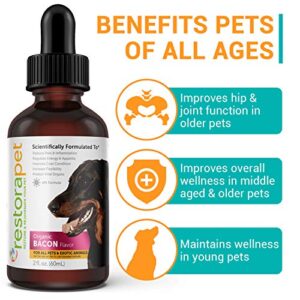RestoraPet 1-Pack Dog & Cat Bacon Liquid Multivitamin | Dog Arthritis Pain Relief | Hip & Joint Vitamins for Dogs - Anti Inflammatory Supplement for Dogs & Cats | Organic & Non-GMO, Vet Approved
