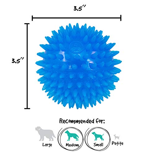 Gnawsome™ 3.5” Spiky Squeak & Light Ball Dog Toy - Small, Cleans teeth and Promotes Dental and Gum Health for Your Pet, Colors will vary