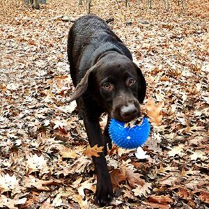 Gnawsome 4.5” Spiky Squeak & Light Ball Dog Toy - Extra Large, Cleans teeth and Promotes Dental and Gum Health for Your Pet, Colors will vary, All Breed Sizes