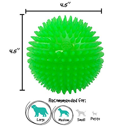 Gnawsome 4.5” Spiky Squeak & Light Ball Dog Toy - Extra Large, Cleans teeth and Promotes Dental and Gum Health for Your Pet, Colors will vary, All Breed Sizes