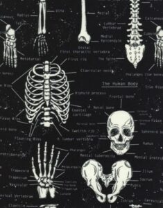 timeless treasures glow in the dark skeleton cotton fabric print by yard d569.18