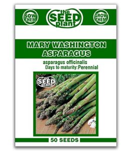 mary washington asparagus seeds - 50 seeds non-gmo