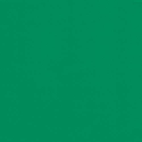 Green Cardstock - 12 x 12 inch - 65Lb Cover - 25 Sheets - Clear Path Paper