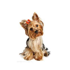 PET SHOW 0.98inch*0.39inch Tiny Small Dogs Hair Bows with Rubber Bands Ribbon Rhinestone Dog Puppy Grooming Topknot Hair Accessories Assorted Color Pack of 20