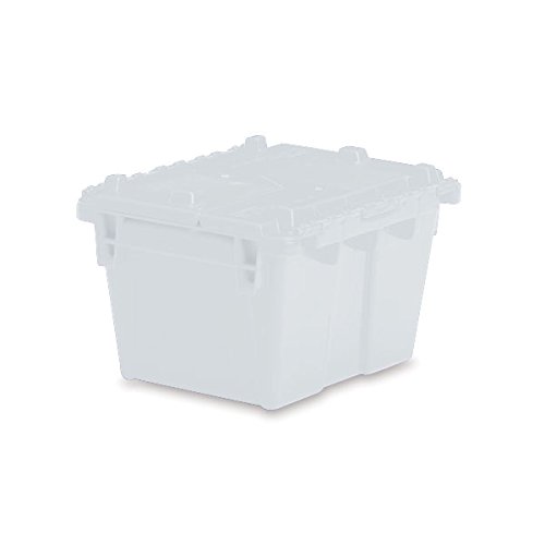 CeilBlue Storage Tote Extra Small with Lid 11.8" L x 9.8" W x 7.7" H - Semi Clear