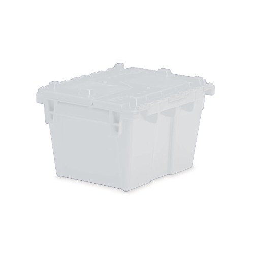 CeilBlue Large Storage Tote with Lid 21.8" L x 15.2" W x 12.9" H - Semi Clear