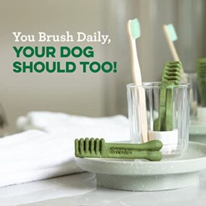GREENIES Grain Free Regular Natural Dog Dental Care Chews Oral Health Dog Treats, 27 oz. Pack (27 Treats)