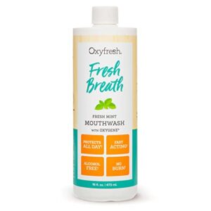 oxyfresh fresh breath fresh mint mouthwash – dentist recommended for long-lasting fresh breath & healthy gums | alcohol & fluoride free (1-16 oz bottle)