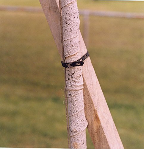EasyFlex 1100-2 FirmFlex Chain Lock Tree Tie, 100 Foot, Black