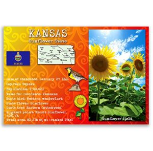 kansas state facts postcard set of 20 identical postcards. post cards with ks facts and state symbols. made in usa.