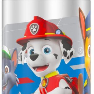 THERMOS FUNTAINER 12 Ounce Stainless Steel Vacuum Insulated Kids Straw Bottle, Paw Patrol