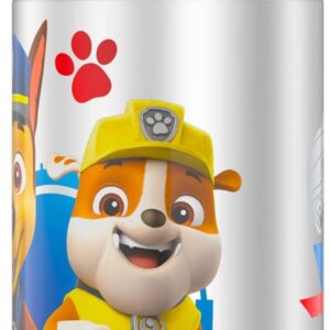 THERMOS FUNTAINER 12 Ounce Stainless Steel Vacuum Insulated Kids Straw Bottle, Paw Patrol