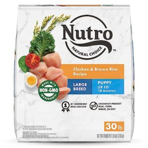 nutro natural choice large breed puppy dry dog food, chicken & brown rice recipe dog kibble, 30 lb. bag