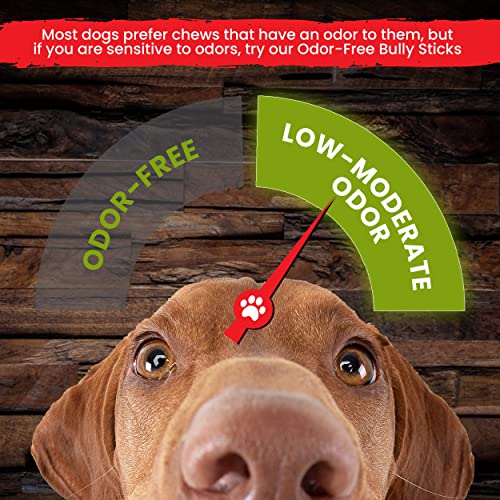 Sancho & Lola's Bully Sticks for Dogs Standard 9.5oz (10-12 Count) Made in USA - No Antibiotics No Growth Hormones, High-Protein Beef Pizzle Dog Chews