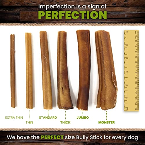 Sancho & Lola's Bully Sticks for Dogs Standard 9.5oz (10-12 Count) Made in USA - No Antibiotics No Growth Hormones, High-Protein Beef Pizzle Dog Chews