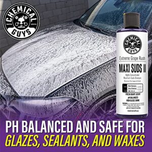 Chemical Guys CWS_1010 Maxi-Suds II Foaming Car Wash Soap (Works with Foam Cannons, Foam Guns or Bucket Washes) Safe for Cars, Trucks, Motorcycles, RVs & More, 128 fl. Oz (1 Gallon), Grape Scent