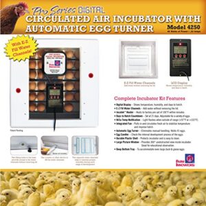 Farm Innovators 4250 Incubator, Circulated Air, Digital LCD Display with Automatic Egg Turner for Improved Hatching, Up to 41 Eggs, Includes Egg Candler and Protective Plastic Shell, Heated Air, White