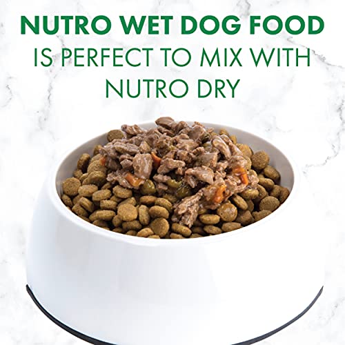 NUTRO HEARTY STEW Adult Natural Grain Free Wet Dog Food Cuts in Gravy Tender Chicken, Carrot & Pea Stew, 12.5 oz. Cans (Pack of 12)