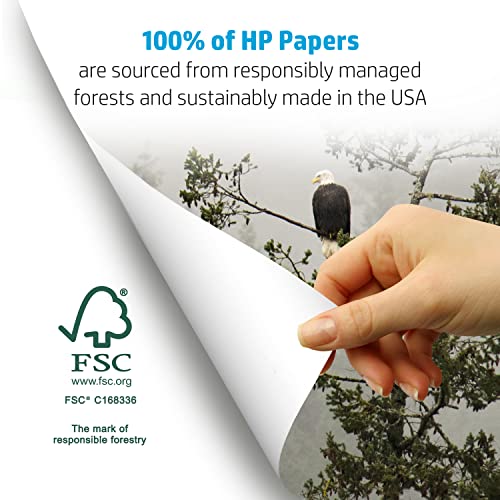HP Printer Papers | 8.5 x 11 Paper | Copy &Print 20 lb| 6 Pack Case - 2,400 Sheets | 92 Bright | Made in USA - FSC Certified | 200010C