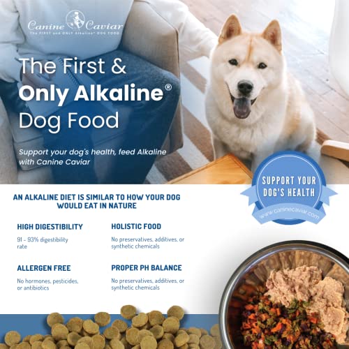 Canine Caviar Open Meadow Dog Food – Limited Ingredient Alkaline Holistic Dog Food – All Life Stages – Gluten Free, Ultra-Premium Dog Food – Healthy Skin & Coat – Lamb & Pearl Millet – 22 lbs