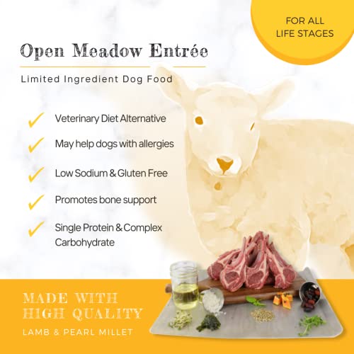 Canine Caviar Open Meadow Dog Food – Limited Ingredient Alkaline Holistic Dog Food – All Life Stages – Gluten Free, Ultra-Premium Dog Food – Healthy Skin & Coat – Lamb & Pearl Millet – 22 lbs