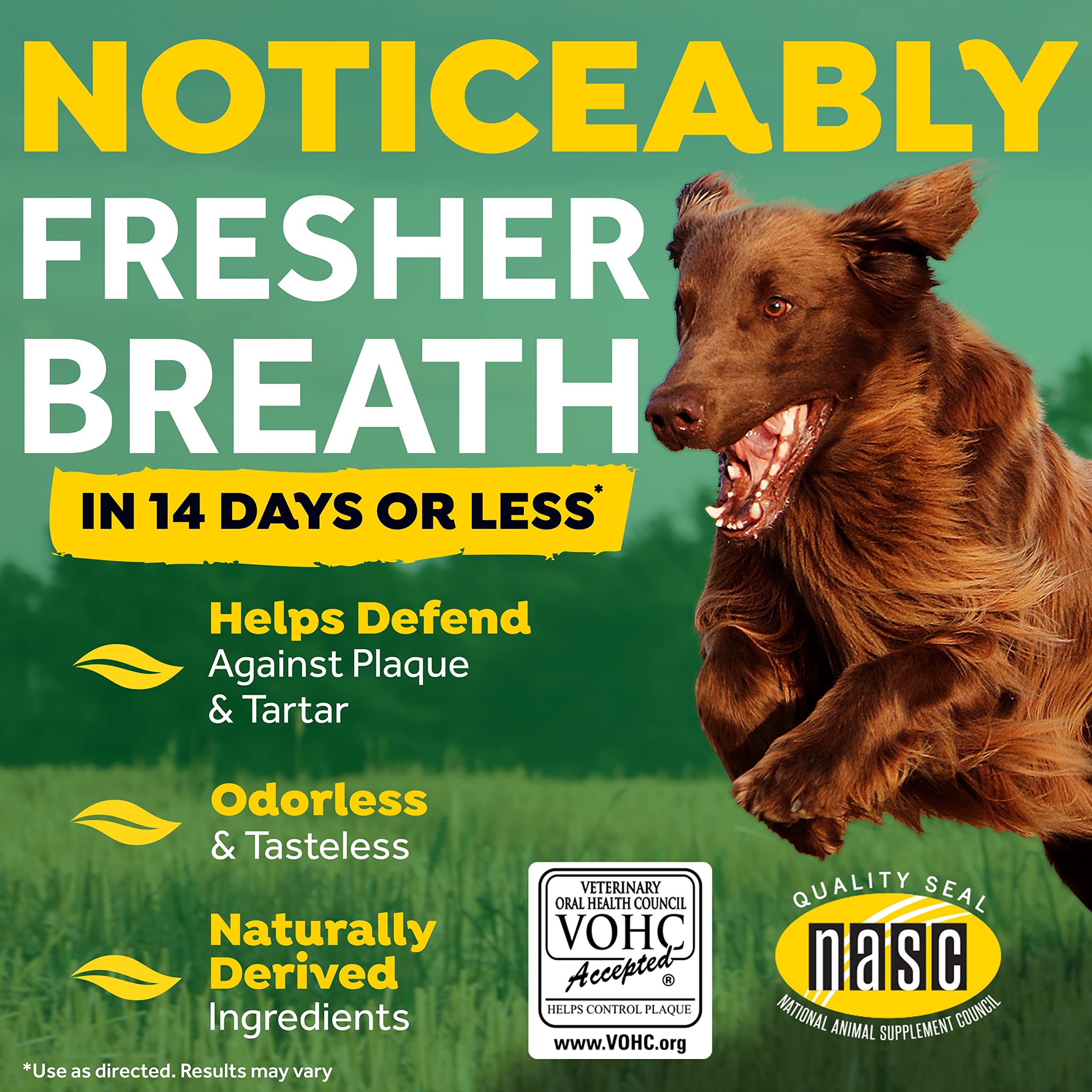 TropiClean Fresh Breath Original | Dog Oral Care Water Additive | Dog Breath Freshener Additive for Dental Health | VOHC Certified | Made in the USA | 33.8 oz. | Pack of 3