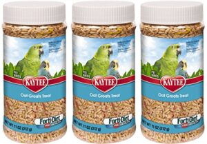 kaytee forti diet pro health oat groats treat for pet birds, 11-ounces per pack (3 pack)
