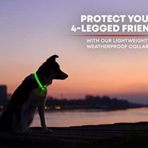 Illumiseen LED Dog Collar USB Rechargeable - Bright & High Visibility Lighted Glow Collar for Pet Night Walking - Weatherproof, in 6 Colors & 6 Sizes (Green Large)