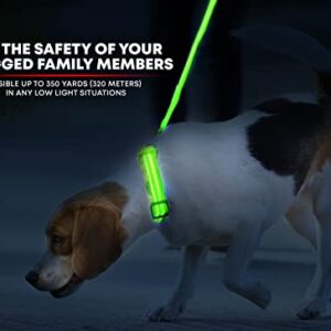 Illumiseen LED Dog Collar USB Rechargeable - Bright & High Visibility Lighted Glow Collar for Pet Night Walking - Weatherproof, in 6 Colors & 6 Sizes (Green Large)