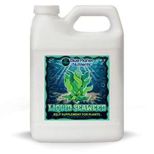 liquid seaweed for plants (32 oz) quart | concentrated liquid kelp supplement | makes up to 470 gallons | for all plants & gardens | blue planet nutrients