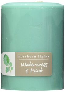 northern lights candles watercress & mint fragrance palette pillar candle, 3 x 4