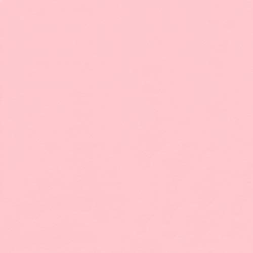 Baby Pink Cardstock - 12 x 12 inch - 65Lb Cover - 25 Sheets