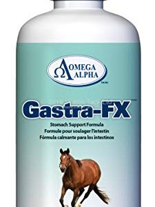 Omega Alpha GastraFX (32 oz)