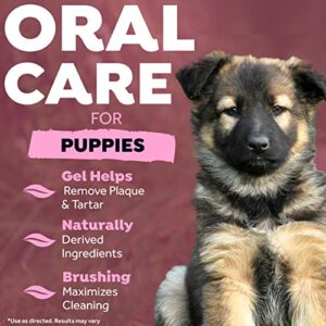 TropiClean Fresh Breath Oral Care Kit for Puppies - Complete Toothbrush & Toothpaste Gel Kit - Helps Remove Plaque & Tartar + Breath Freshener