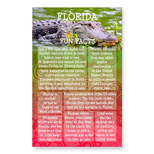 FLORIDA FUN FACTS postcard set of 20 identical postcards. US state trivia post card pack. Made in USA.