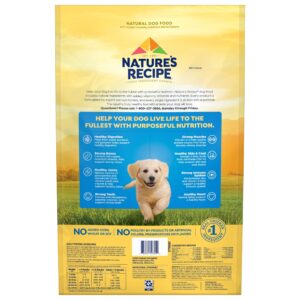 Nature’s Recipe Grain Free Chicken, Sweet Potato & Pumpkin Recipe, Dry Puppy Food, 12 Pounds (Packaging May Vary)