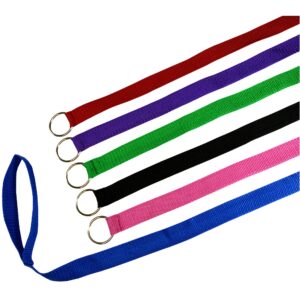 downtown pet supply - 6ft dog kennel slip lead dog leash - veterinarian, dog grooming, daycare & animal rescue dog supplies - one size leads for dogs bulk - 1" thick 6 pack
