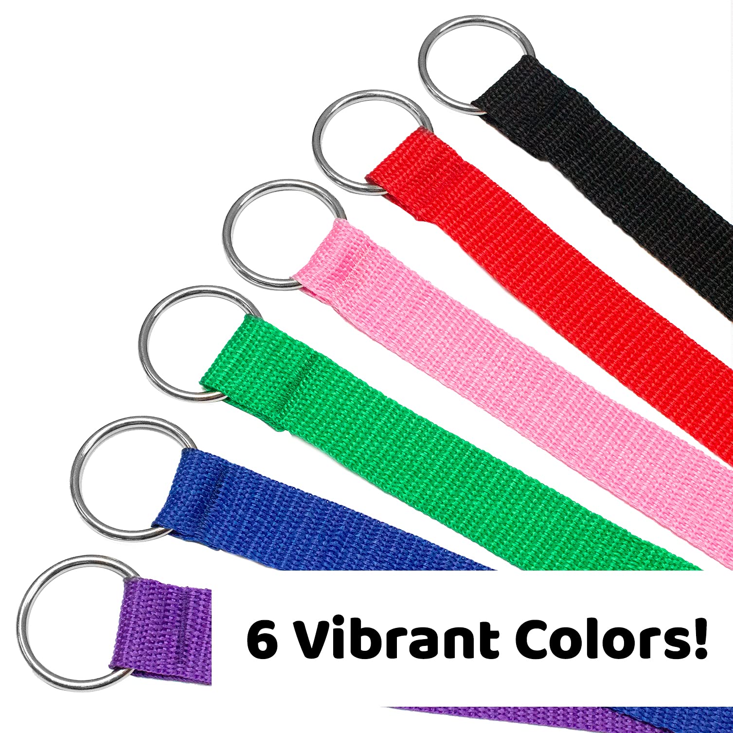 Downtown Pet Supply - 6ft Dog Kennel Slip Lead Dog Leash - Veterinarian, Dog Grooming, Daycare & Animal Rescue Dog Supplies - One Size Leads for Dogs Bulk - 1" Thick 6 Pack