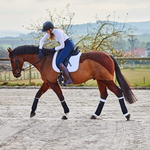Horze Rear Leg No Bow Equine Standing Wraps Pair - Off-White - Horse
