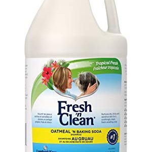 PetAg Fresh 'n Clean Oatmeal 'n Baking Soda Dog Shampoo - Tropical Fresh Scent - Strengthens, Repairs, & Protects Your Dog's Coat - 64 Fl Oz