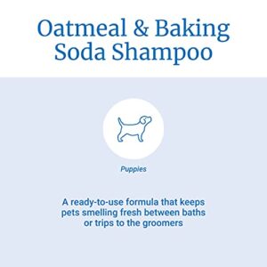 PetAg Fresh 'n Clean Oatmeal 'n Baking Soda Dog Shampoo - Tropical Fresh Scent - Strengthens, Repairs, & Protects Your Dog's Coat - 64 Fl Oz